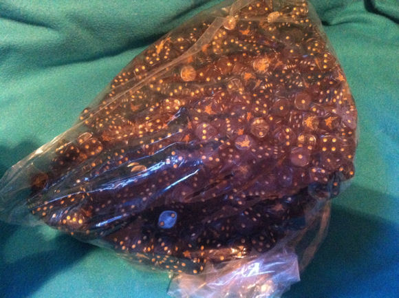 Dice! In a bag!
